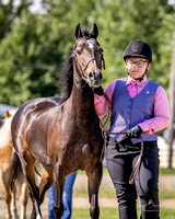 Jeff Barnes Photography-6-8