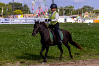 Cuyahoga County Fair Horseshow 2023-20230812-59