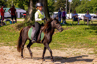 Cuyahoga County Fair Horseshow 2023-20230812-60