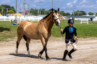 Cuyahoga County Fair Horseshow 2023-20230812-151