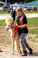 Cuyahoga County Fair Horseshow 2023-20230812-154