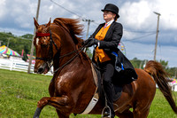 Cuyahoga County Fair Horseshow 2023-20230812-213
