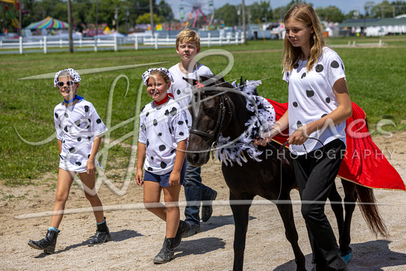 Cuyahoga County Fair Horseshow 2023-20230812-255