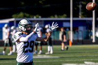 Midview vs Elyria Catholic Varsity Football-20230901-14