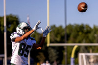 Midview vs Elyria Catholic Varsity Football-20230901-19