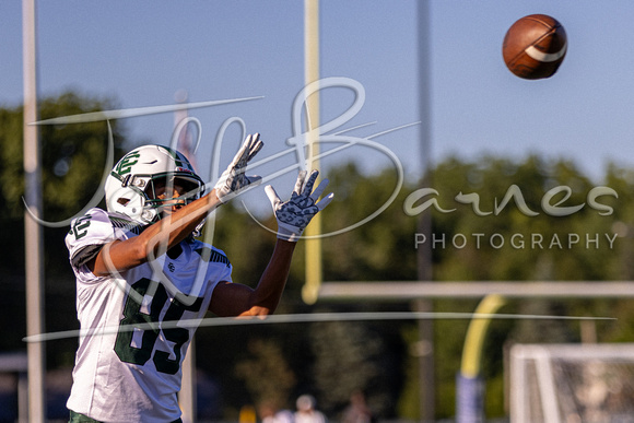 Midview vs Elyria Catholic Varsity Football-20230901-19