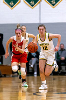 Amherst vs Firelands-20220117-18