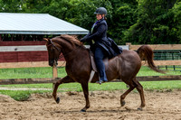 16.  Saddleseat Equitation - All Ages