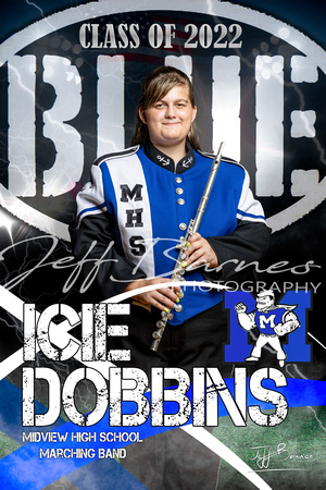 Icie Dobbins