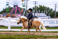 48 Walk-Trot Pleasure 18 & Over-Cuyahoga County Fair Horse Show 2022-1