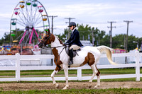 48 Walk-Trot Pleasure 18 & Over-Cuyahoga County Fair Horse Show 2022-5