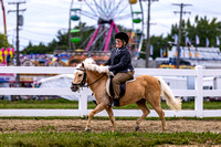 48 Walk-Trot Pleasure 18 & Over-Cuyahoga County Fair Horse Show 2022-2