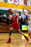 Amherst vs Firelands-20220117-9