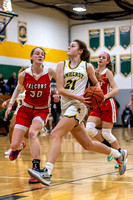 Amherst vs Firelands-20220117-13
