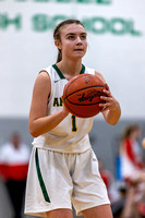 Amherst vs Firelands-20220117-17